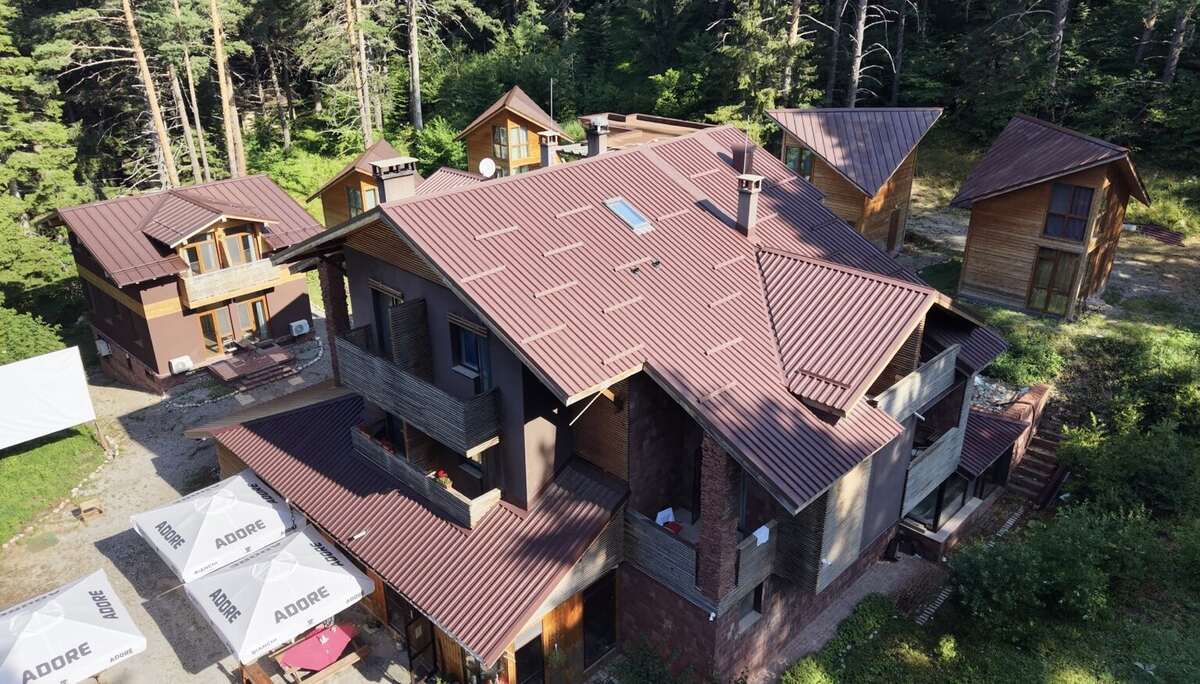 6ato Rila сред гората в Паничище